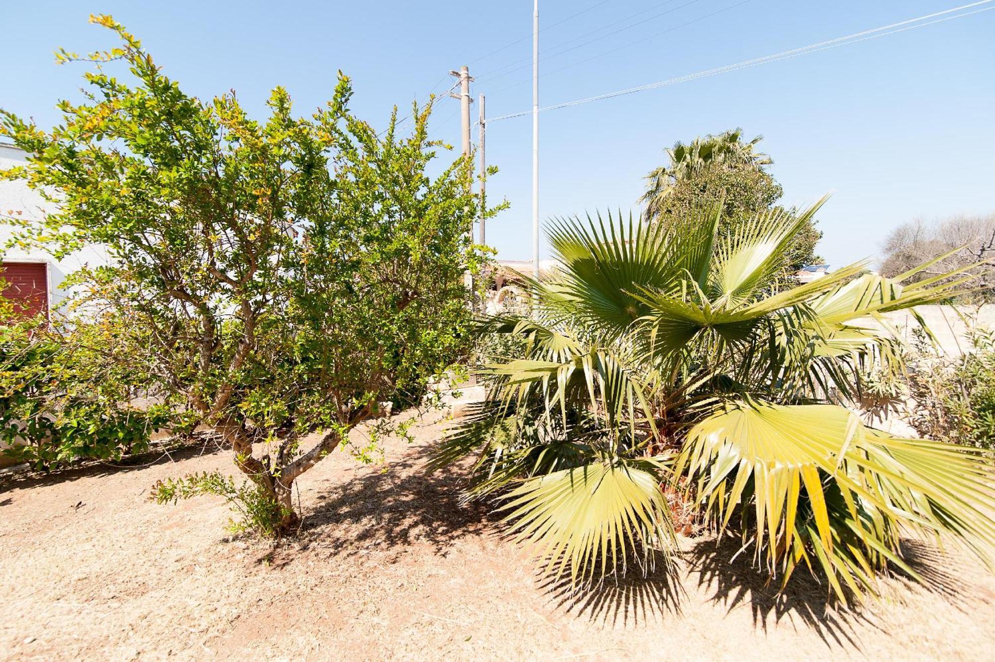 Villa Rose Marina di Mancaversa Kültér fotó